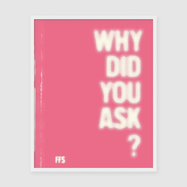 Why Did You Ask - FFS - Image 3